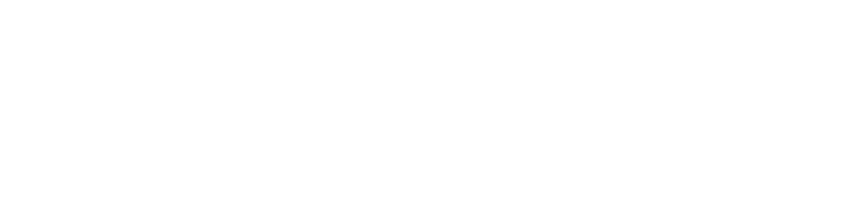 Local Rental Solutions